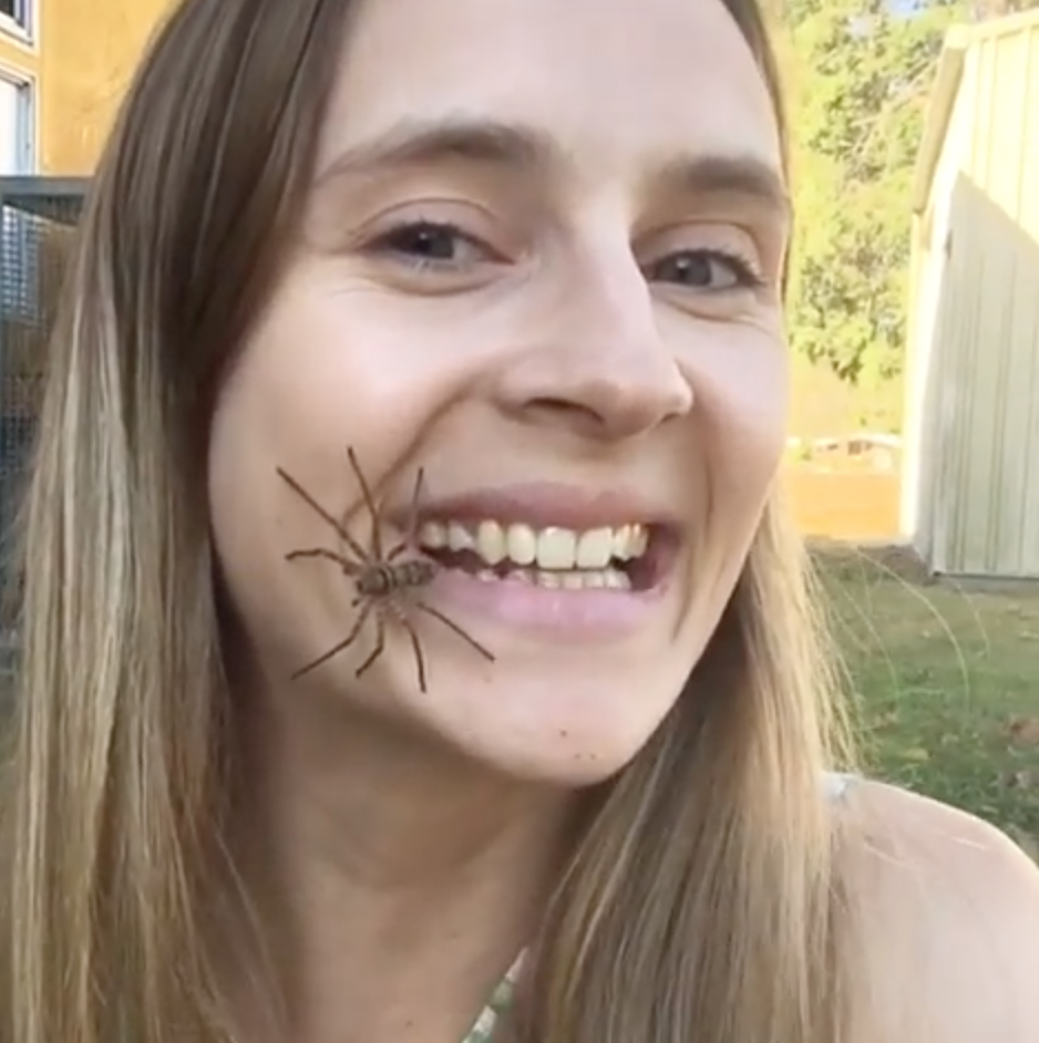 Spindel Spindel